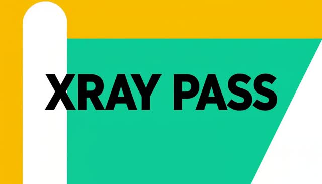 39 XRAY PASS:X 光式透视扫描