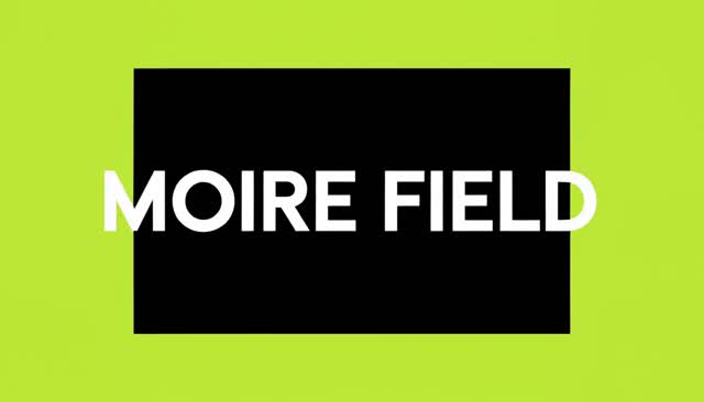 62 MOIRE FIELD:摩尔纹干涉图样