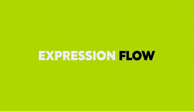 47 EXPRESSION FLOW:表情连续变化