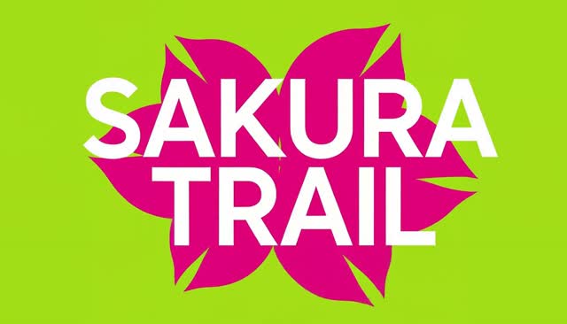 77 SAKURA TRAIL:轨迹化为樱花花瓣